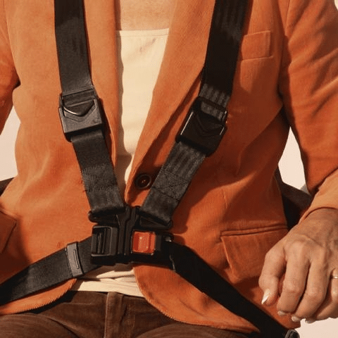 Harness safetybelt 2