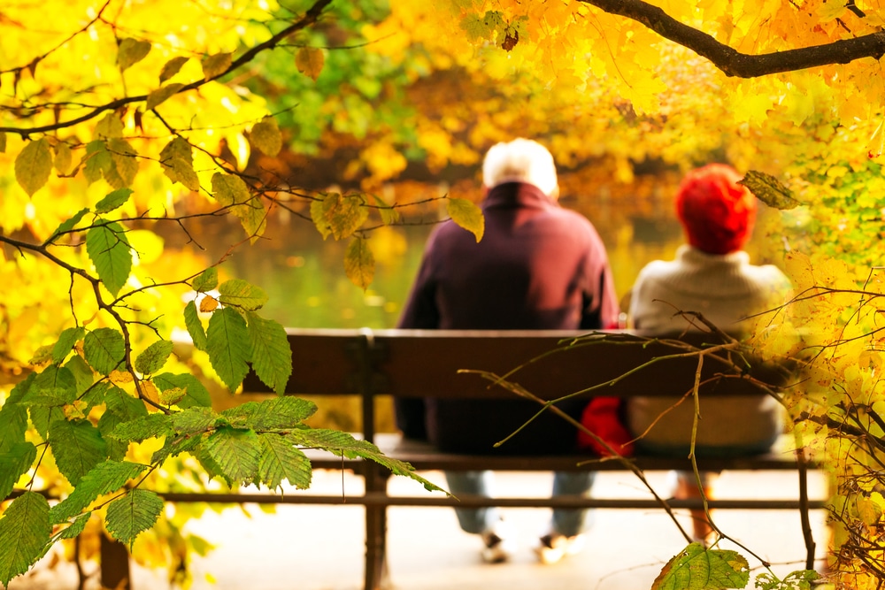 Which Fall Activities Are Both Fun And Safe For Seniors?