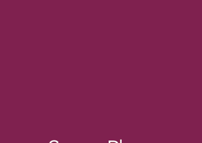 Pride i-Go Mobility Scooter Swatch Sugar Plum